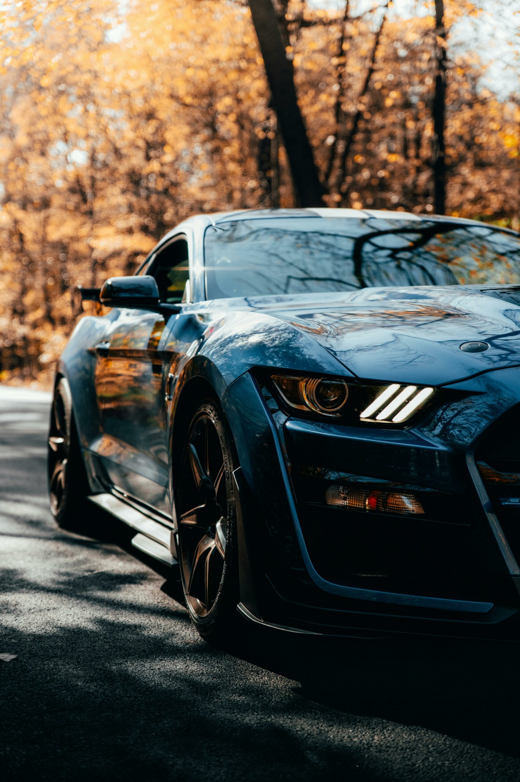 Ford Mustang bleue